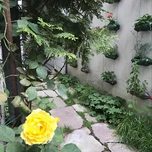 Pop Bogomil Sofia